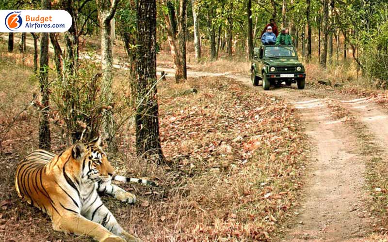 Jim Corbett National Park, Uttarakhand