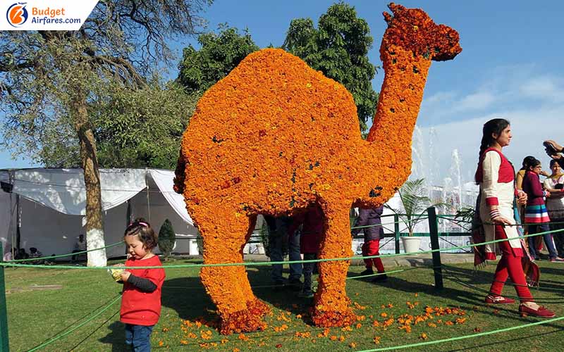 Zakir Hussain Rose Garden, Chandigarh