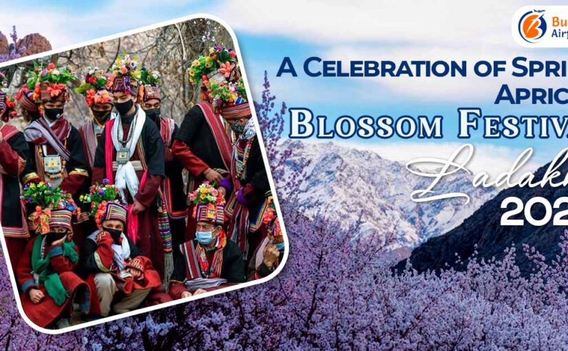 A Celebration of Spring – Apricot Blossom Festival Ladakh 2024