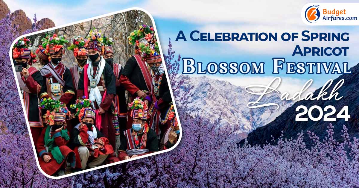A Celebration of Spring – Apricot Blossom Festival Ladakh 2024