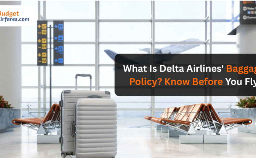 What Is Delta Airlines’ Baggage Policy? Know Before You Fly
