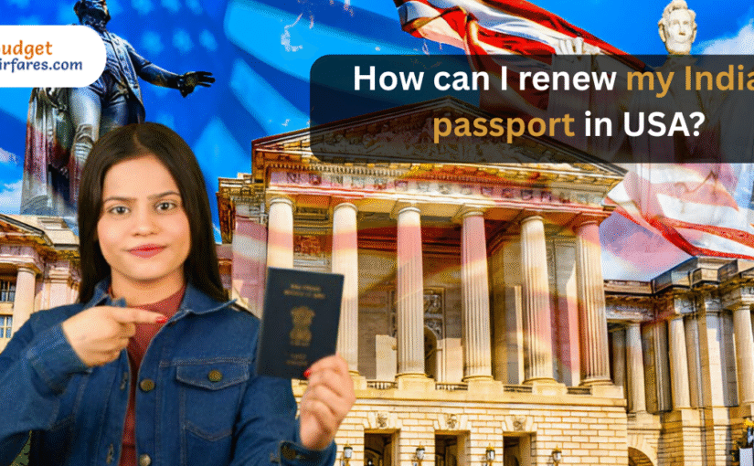 How Can I Renew My Indian Passport In USA?